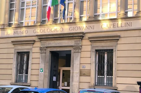 Museo Capellini